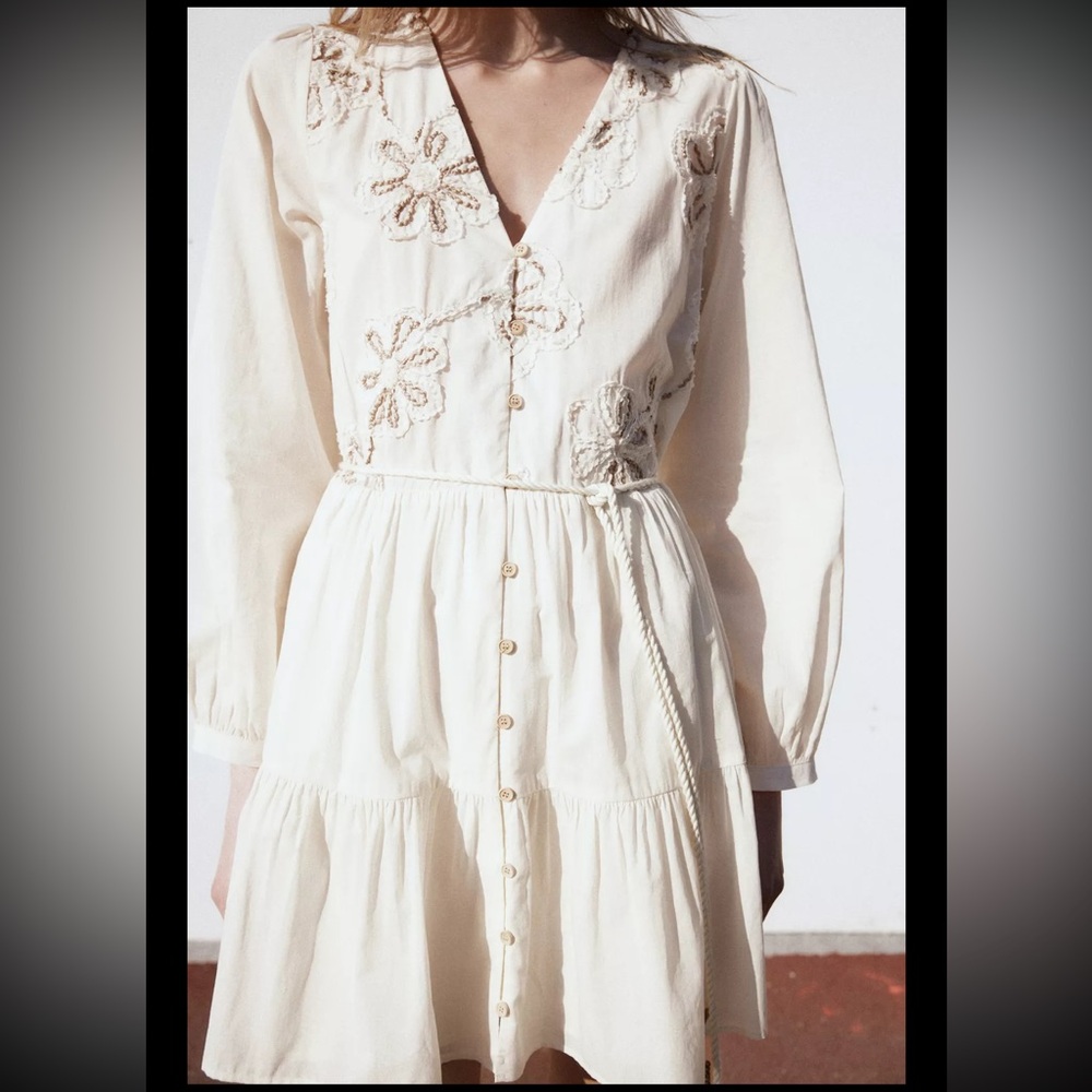 Zara Embroidered Floral Mini Dress, S